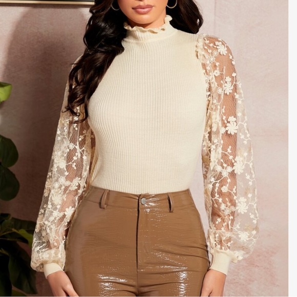 Cozy Frilled Neck Sheer Mesh Long Sleeve Sweater Top - Picture 5 of 8